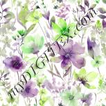 Colour:D