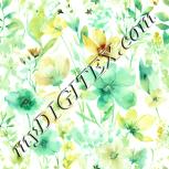 Colour:K