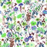 Colour:C