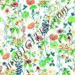 Colour:K