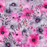 Colour:B