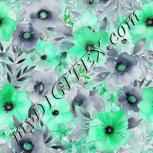 Colour:C