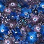 Colour:F