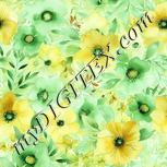 Colour:K