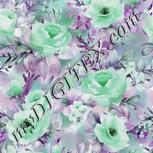 Colour:C