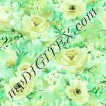 Colour:K