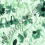 Colour:K