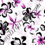 Colour:B
