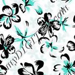 Colour:C