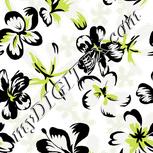 Colour:D