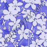Colour:D