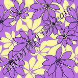 Colour:A