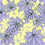Colour:K