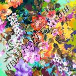 Colour:A