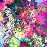 Colour:B