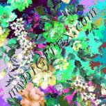 Colour:C