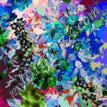 Colour:F