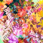Colour:J