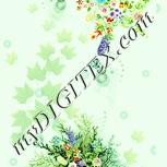 Colour:K