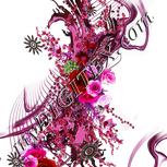 Colour:B