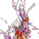 Colour:A