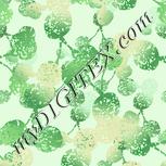 Colour:K