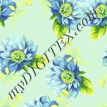 Colour:K