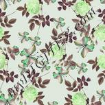 Colour:D