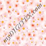 Colour:J