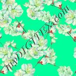 Colour:K