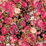 Colour:J
