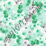 Colour:C