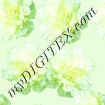 Colour:K
