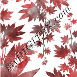 Colour:C