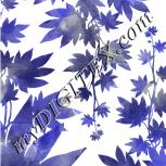 Colour:D
