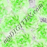 Colour:C