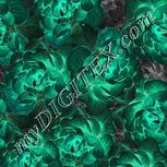 Colour:F