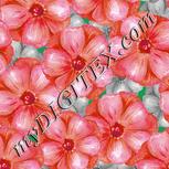 Colour:B