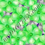 Colour:D