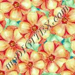 Colour:K