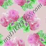 Colour:B