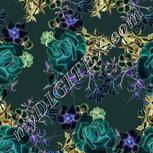 Colour:F