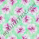 Colour:B