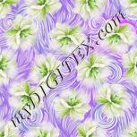 Colour:D