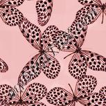 Colour:J