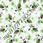 Colour:D