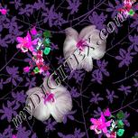 Colour:B