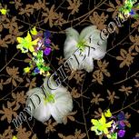 Colour:D