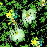 Colour:K