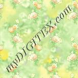 Colour:K